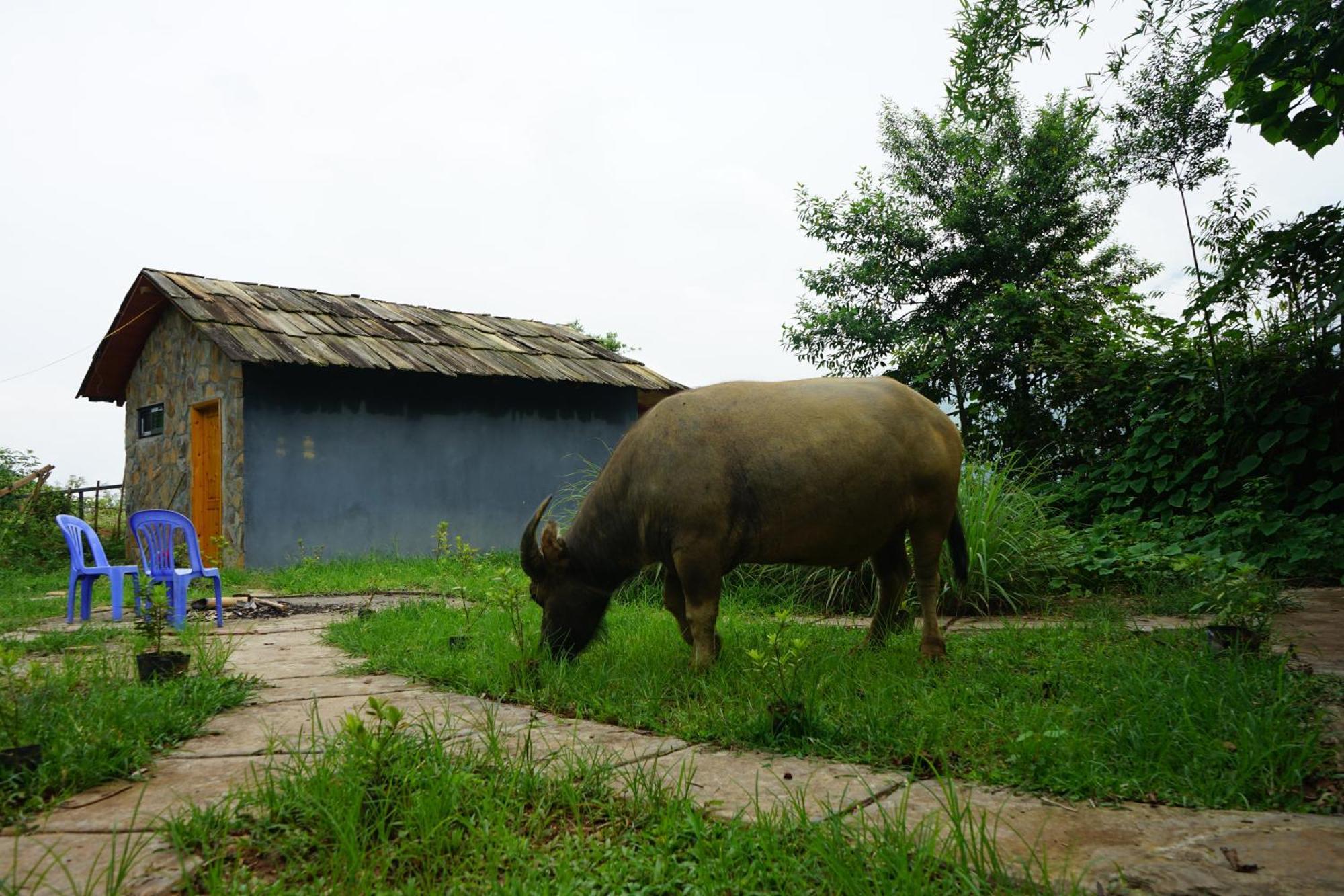Sapa Hillcrest Homestay Лао Кай Екстериор снимка