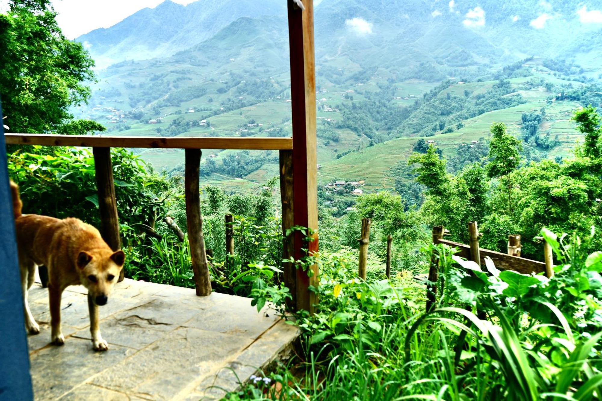 Sapa Hillcrest Homestay Лао Кай Екстериор снимка